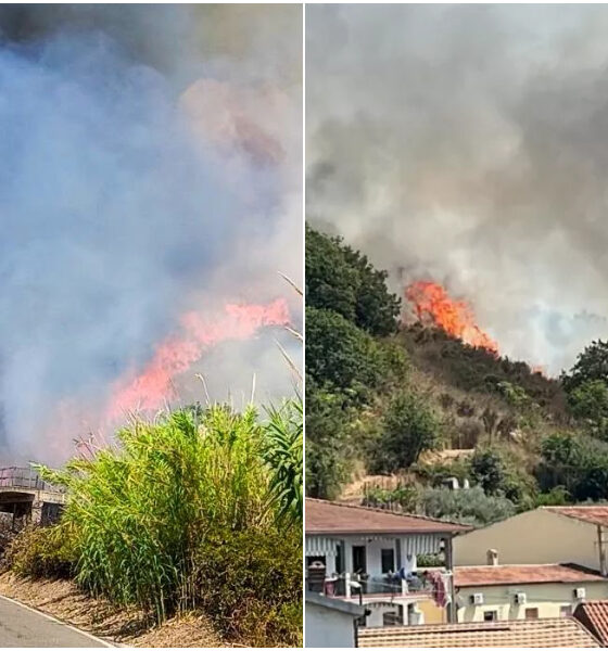 Brucia il tirreno Cosentino, fiamme tra Santa Maria del Cedro e Grisolia: paura per le abitazioni e il cimitero 56 Incendio paura a Santa Maria del Cedro e grisolia incendi