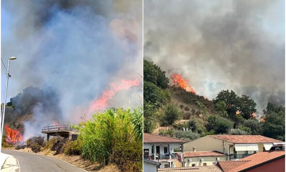 Incendio paura a Santa Maria del Cedro e grisolia incendi