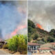 Incendio paura a Santa Maria del Cedro e grisolia incendi