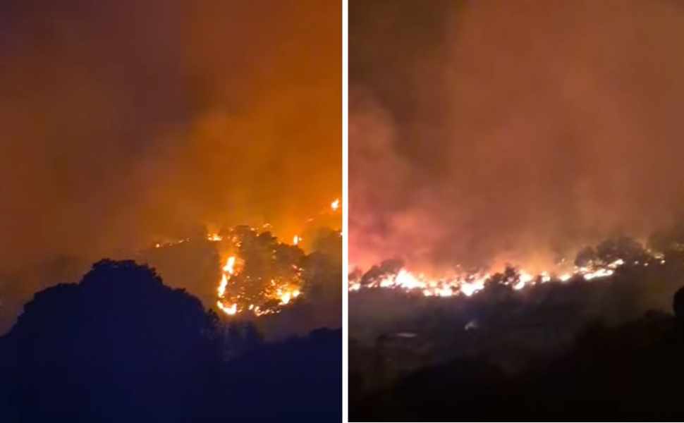 Notte di fiamme, vasto incendio tra Gizzeria e Falerna: 4 Canadair in azione 52 Incendio tra Gizzeria e Falerna 02
