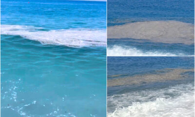 Mar Tirreno Cosentino strisce marroni in acqua