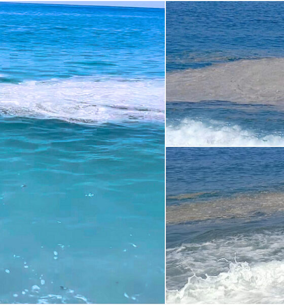 Domenica da incubo sul Tirreno Cosentino e accuse. Arpacal "dinamiche naturali del mare". I sindaci "dati oggettivi: è pulito” 56 Mar Tirreno Cosentino strisce marroni in acqua