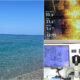 MAr mediterraneo calore acqua Cirella