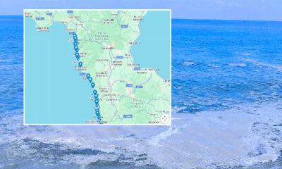 Mar tirreno campioni acqua mare Arpacal valori