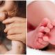 Maternità sempre più tarda e record di cesarei: in Italia e in Calabria si fanno sempre meno figli 53 Maternità_figli