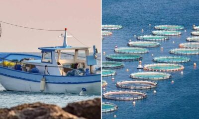 Pesca e acquacoltura