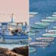 Pesca e acquacoltura, in arrivo gli indennizzi per sostenere le imprese colpite dalla crisi internazionale 66 Pesca e acquacoltura