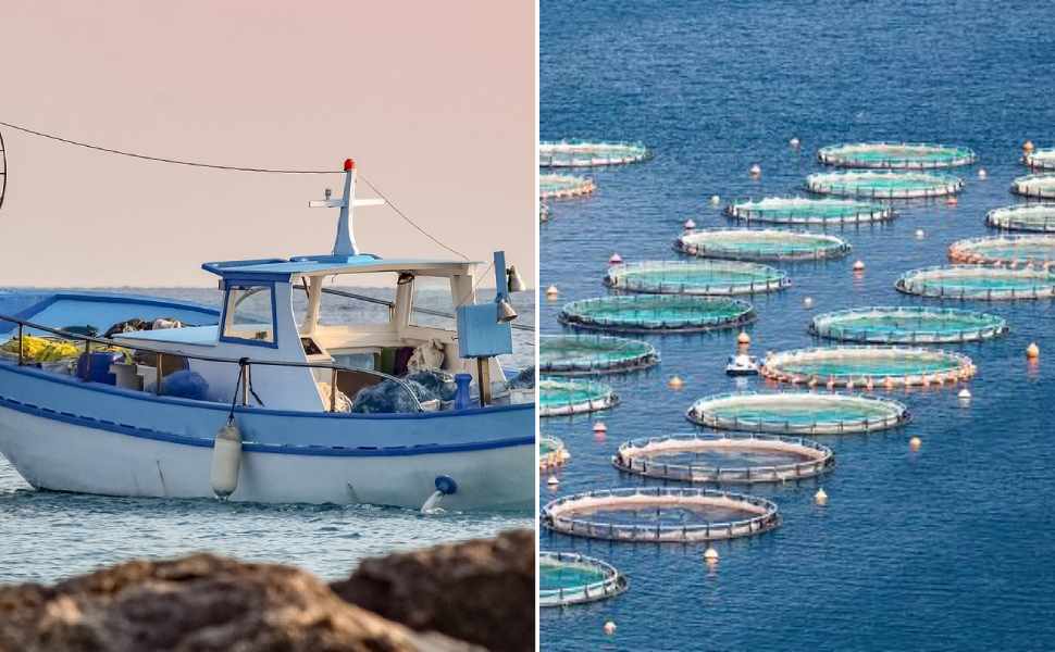 Pesca e acquacoltura, in arrivo gli indennizzi per sostenere le imprese colpite dalla crisi internazionale 51 Pesca e acquacoltura