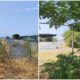 San Nicola Arcella, spiagge libere abbandonate e inaccessibili: la denuncia di Italia Nostra 62 San Nicola Arcella_spiagge libere