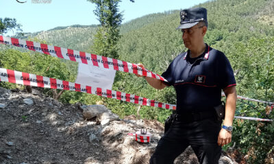 Sequestro acquaformosa lega tagliata illegalmente parco del Pollino