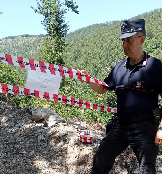 Sequestro acquaformosa lega tagliata illegalmente parco del Pollino