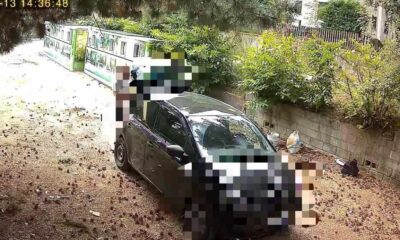 Sila piccola catanzarese rifiuti taverna 01