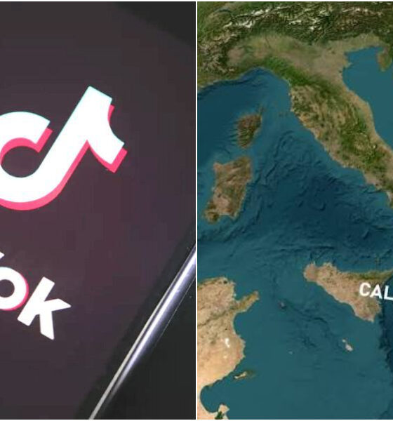 TikTok nel mirino: dai video sulla Calabria alla celebrazione della ’ndrangheta. Uno studio lancia l'allarme 56 Tik-Tok-Calabria-ndrangheta