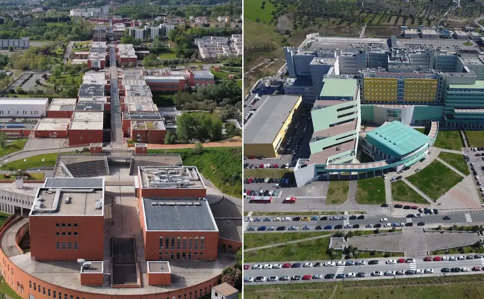 Nuovo corso interateneo UMG-Unical in Scienze della Formazione Primaria - Bando e iscrizioni A.A. 2026/2027 51 Unical UMG Scienze della Formazione Primaria