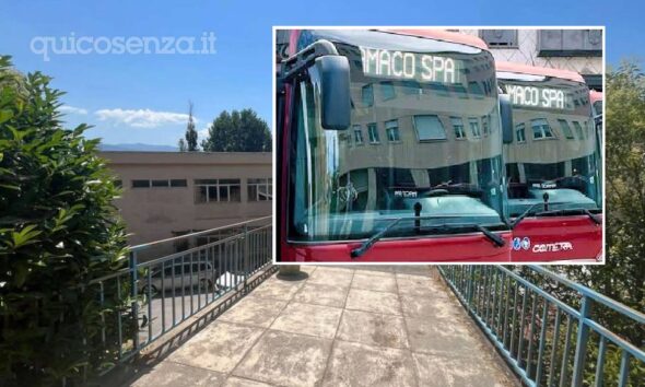 Minibus_Serra Spiga