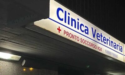 cagnolina - clinica veterinaria pronto soccorso