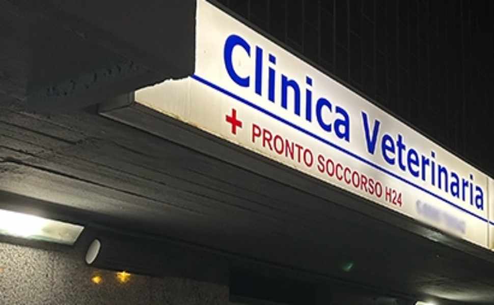 cagnolina - clinica veterinaria pronto soccorso
