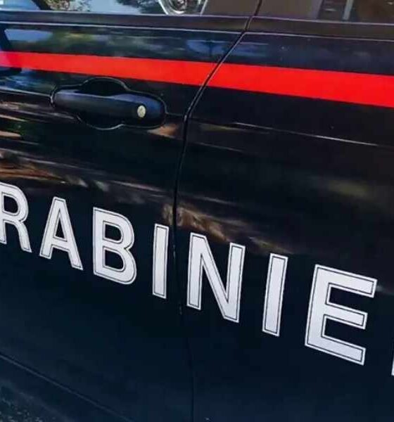 Giallo a Laino Borgo: 77enne trovata senza vita nel fiume Lao, forse deceduta per un malore 56 carabinieri fiume lao laino borgo donna senza vita