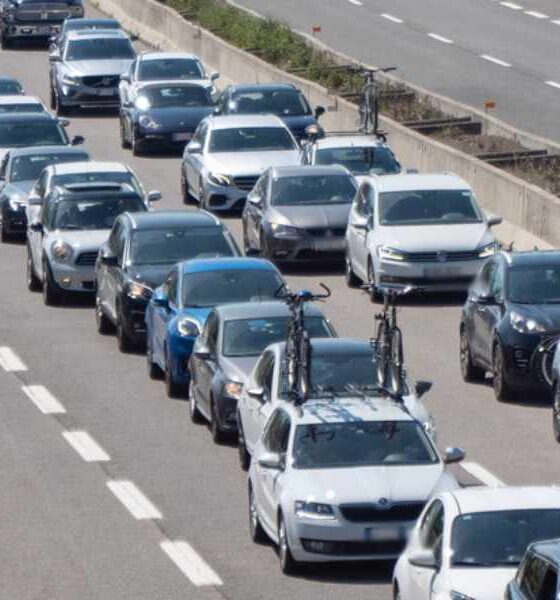 Incidente sull’Autostrada A2: traffico bloccato per oltre 6 chilometri a Scilla 56 code a2 generico scilla