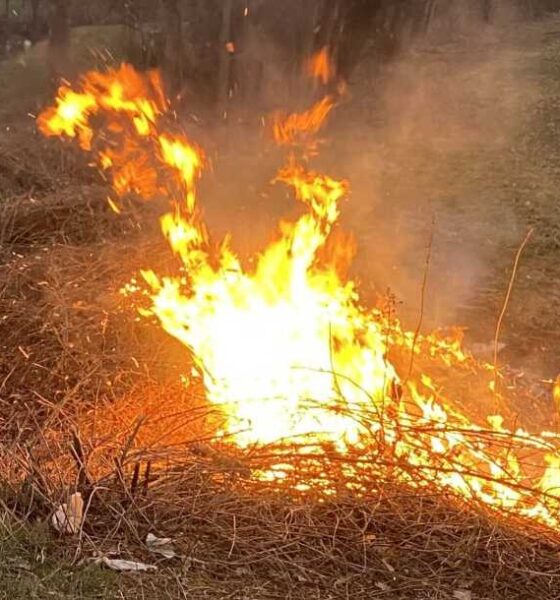 incendi rende 01