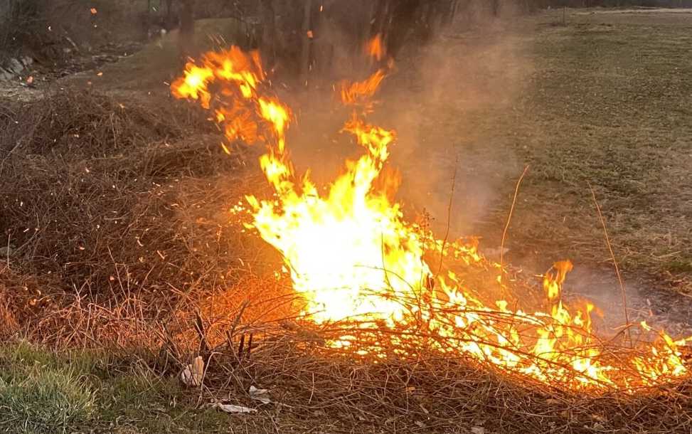 Rende: 2 incendi appiccati in poche ore, in viale dei Giardini e contrada Difesa: è caccia al piromane 51 incendi rende 01