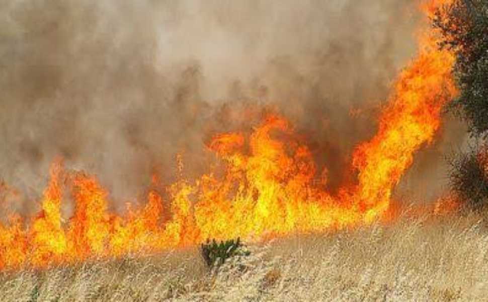 Rende: 2 incendi appiccati in poche ore, in viale dei Giardini e contrada Difesa: è caccia al piromane 52 incendi rende 02