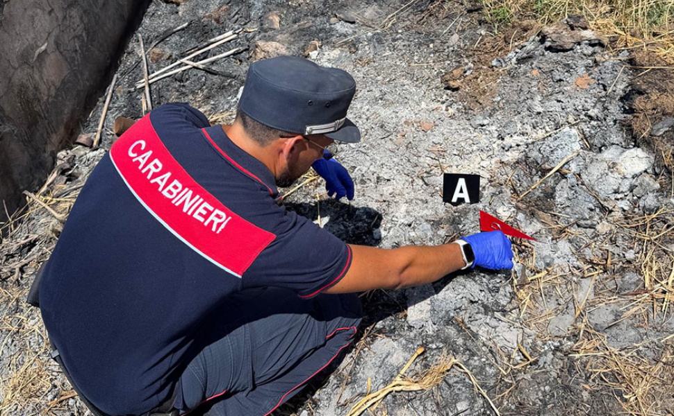 incendio bonifati carab forestali 03
