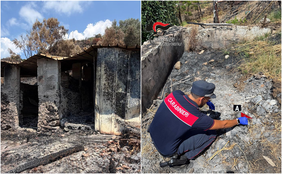 incendio bonifati carab forestali