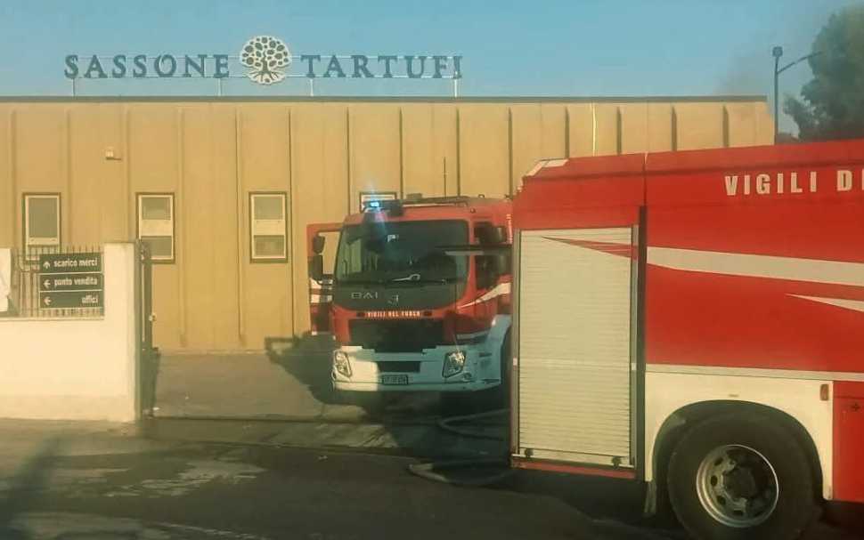 Montegiordano, incendio alla Sassone Tartufi: danni ingenti. L'azienda «nessuna matrice dolosa» 51 incendio sassone tartufi montegiordano