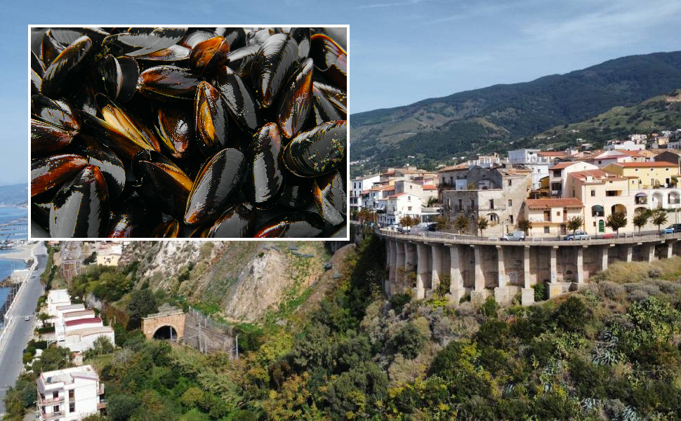 intossicazione da cozze a San Lucido