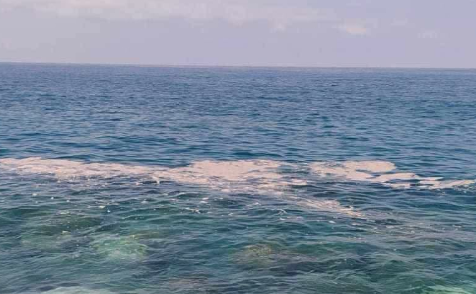 mare tirreno segnalazioni 03
