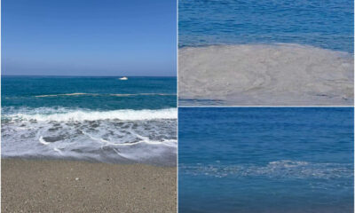 mare tirreno segnalazioni