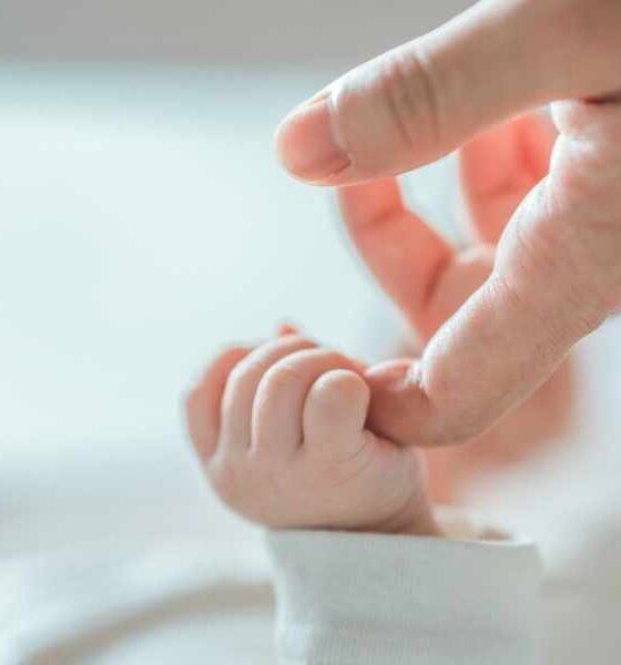 Calabria, nascite in calo e mortalità neonatale sopra la media: il dato che fa riflettere e preoccupa 56 natalità e mortalità neonatale