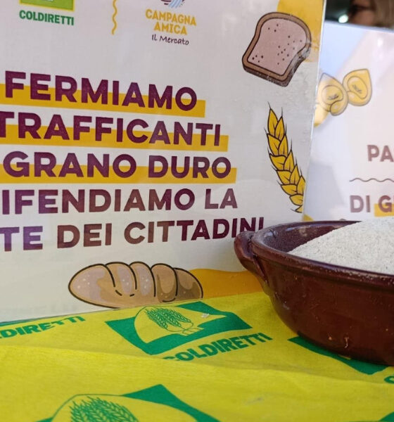 Pasta, Coldiretti Calabria all’attacco: “Basta ambiguità sugli scaffali, fermiamo i trafficanti del grano” 56 pasta-grano-trafficanti-calabria-coldiretti