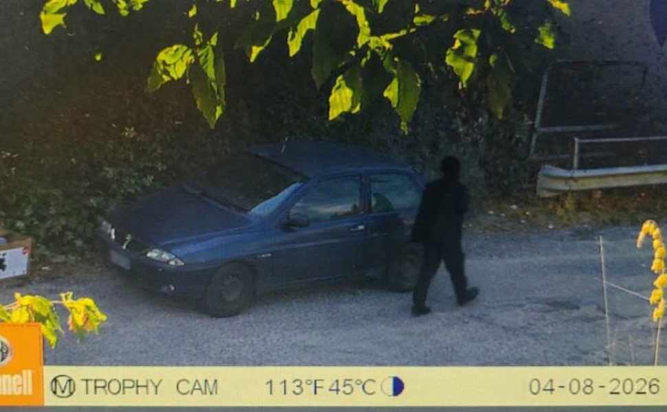 Mendicino: tolleranza zero per chi abbandona rifiuti, sindaca “chi sporca paga” 52 rifiuti mendicino 02