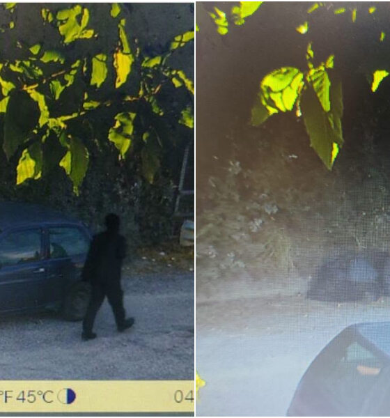 rifiuti mendicino