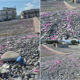 spiaggia baby shower trebisacce 01