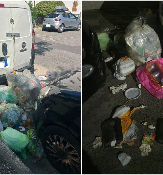 tortora-rifiuti-petizione-online