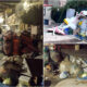tropea rifiuti - gruppo Insieme per Tropea 01