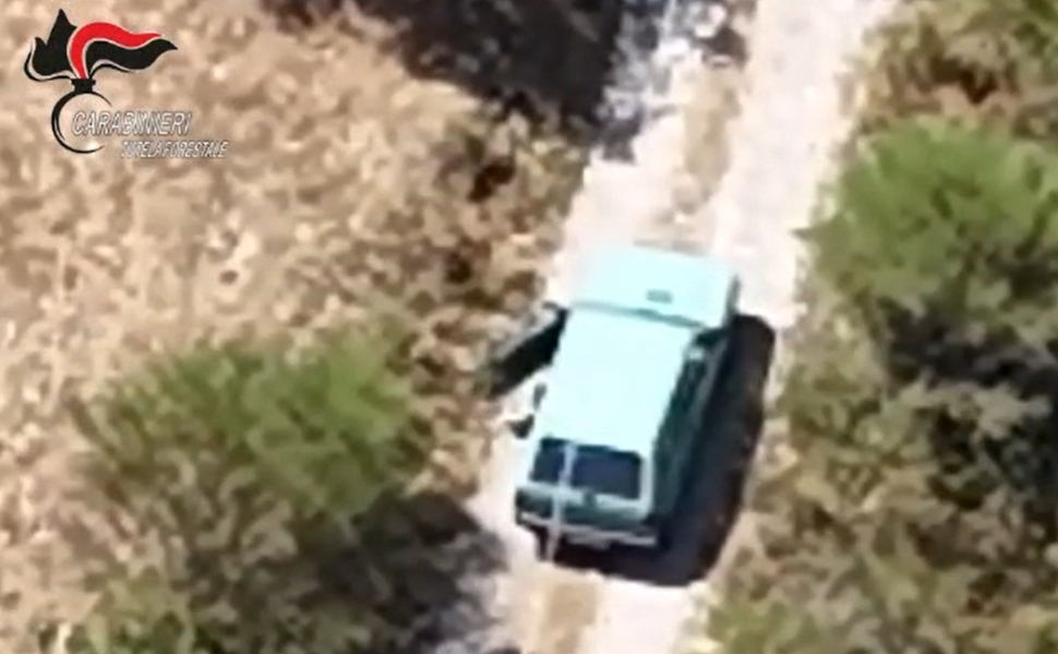 Il video che incastra il piromane 56enne: così i Carabinieri hanno ricostruito l'incendio a Morano 79 video incendio morano calabro 02