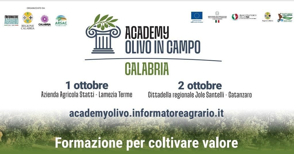 «Academy Olivo in Campo Calabria»: 2 giorni tra innovazione, strategie, mercato e le nuove sfide dell’olivicoltura calabrese 54 Academy Olivo in Campo Calabria 1 e 2 ottobre