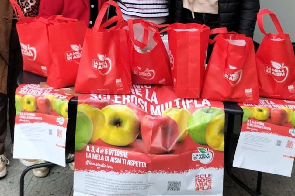 Frascineto sostiene la ricerca con "La Mela di AISM": domani in Municipio la raccolta fondi per la sclerosi multipla 52 Aism mele