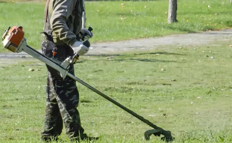 Verde pubblico, fino al 6 ottobre prosegue il piano degli interventi a Rende. Le zone interessate 52 Cura Verde Rende 01