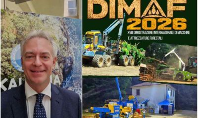 D.I.M.A.F._Calabria