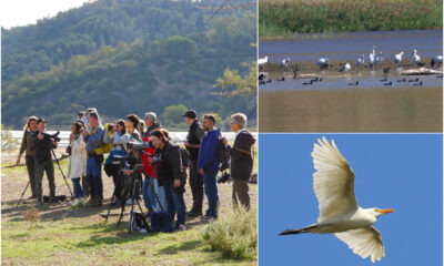 EUROBIRDWATCH 2026_Calabria