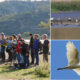EUROBIRDWATCH 2026_Calabria