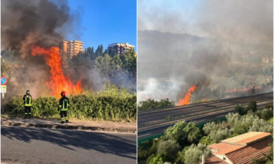 Incendio Cosenza