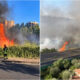 Incendio in via Persiani a Cosenza: focolai, fumo nelle case e rifiuti. Ordinanza del sindaco e 60 giorni per bonificare l'area 52 Incendio Cosenza
