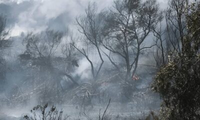 Incendio Scalea