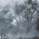Incendio a Scalea, le fiamme nei pressi della stazione hanno minacciato anche le case 54 Incendio Scalea